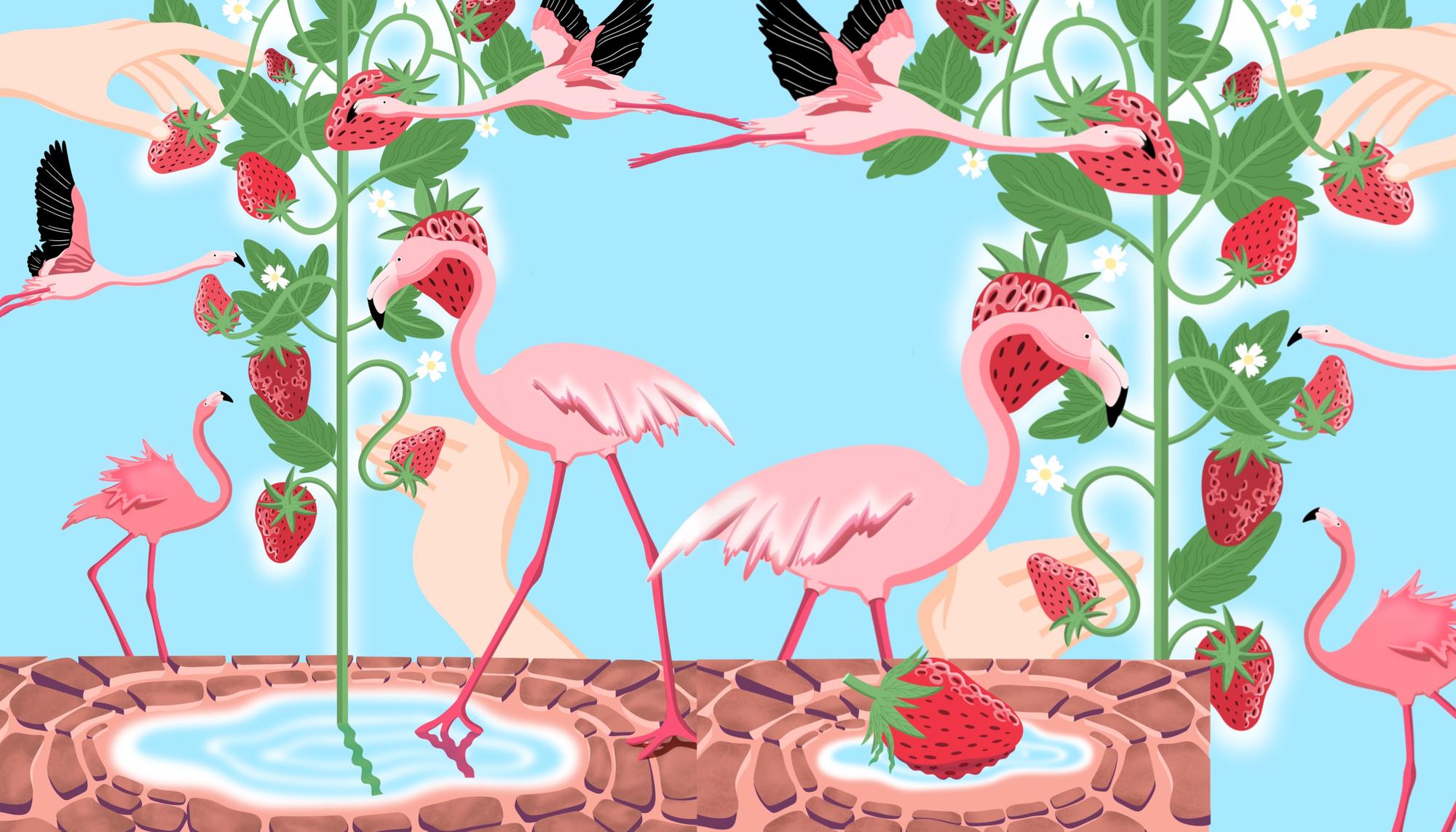 Exportar fresas pais secano